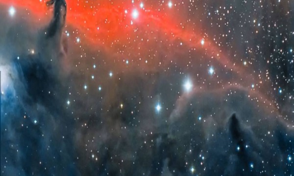Fisica e Astronomia cover